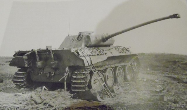 SAM_0181-1 [HDTV (1080)].jpg